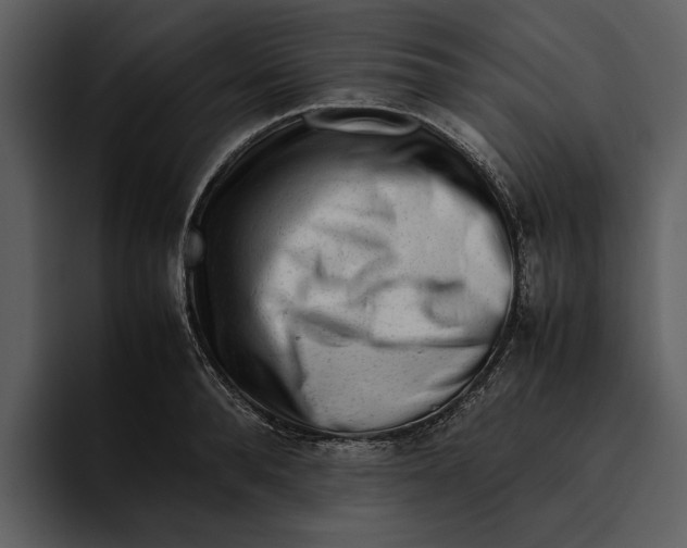 X0000095690896200801291215