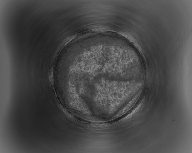 X0000095690897200801291215