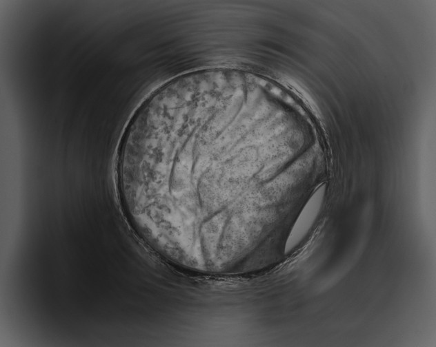 X0000095690899200801291215