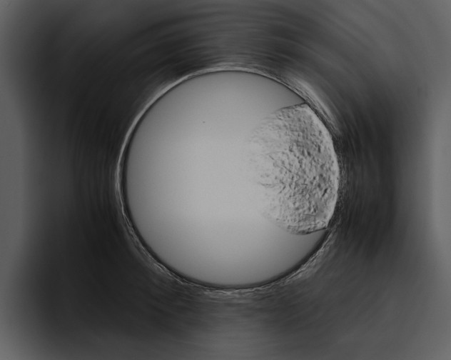 X0000095690900200801291215