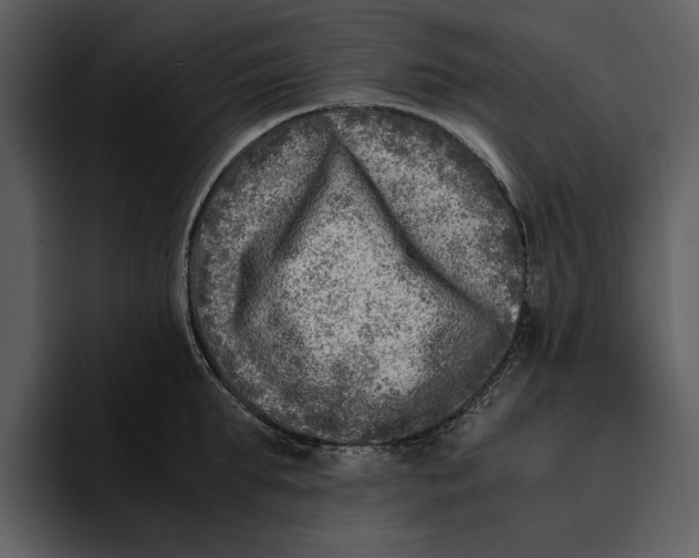 X0000095690903200801291215