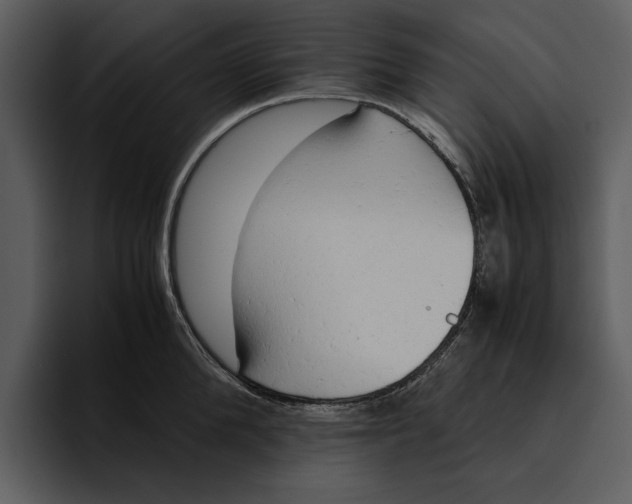 X0000095690904200801291215