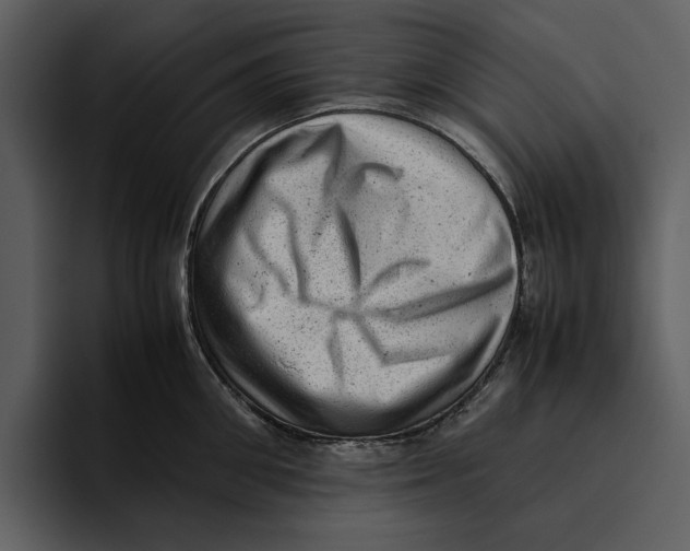 X0000095690906200801291214