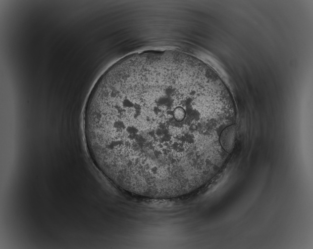 X0000095690907200801291214