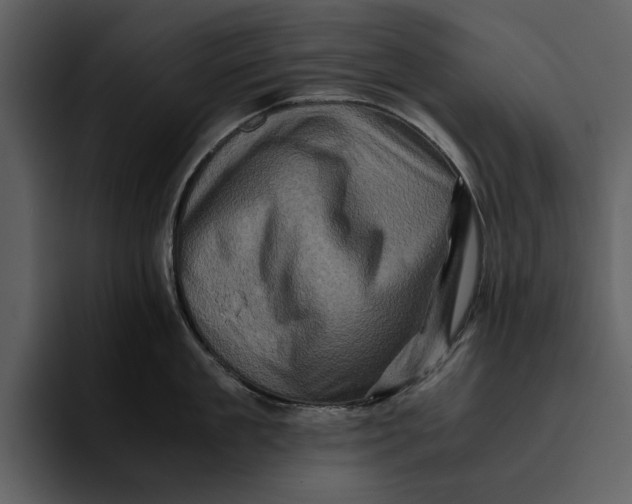 X0000095690909200801291214