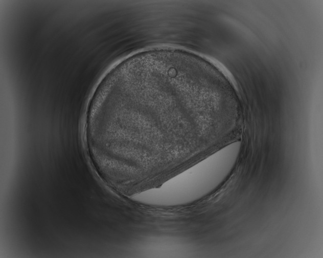 X0000095690911200801291214