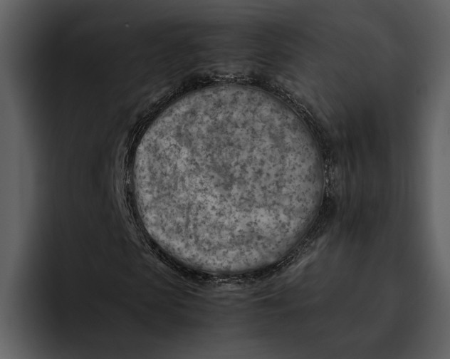 X0000095690913200801291214