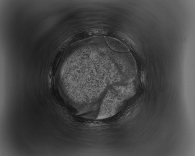 X0000095690915200801291214