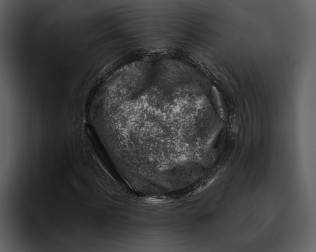 X0000095690916200801291214