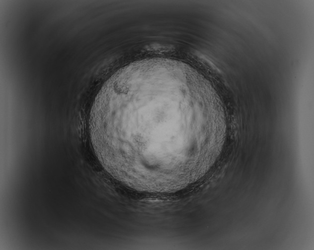 X0000095690917200801291214