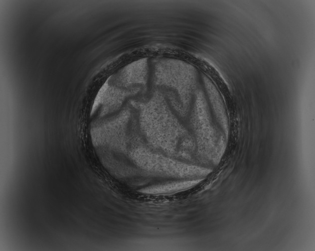 X0000095690919200801291214