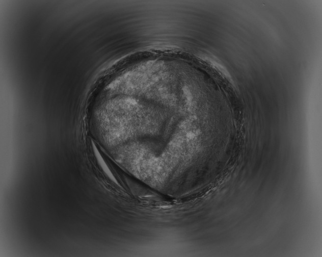 X0000095690920200801291214