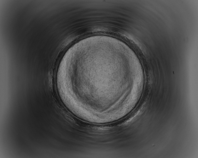 X0000095690921200801291214