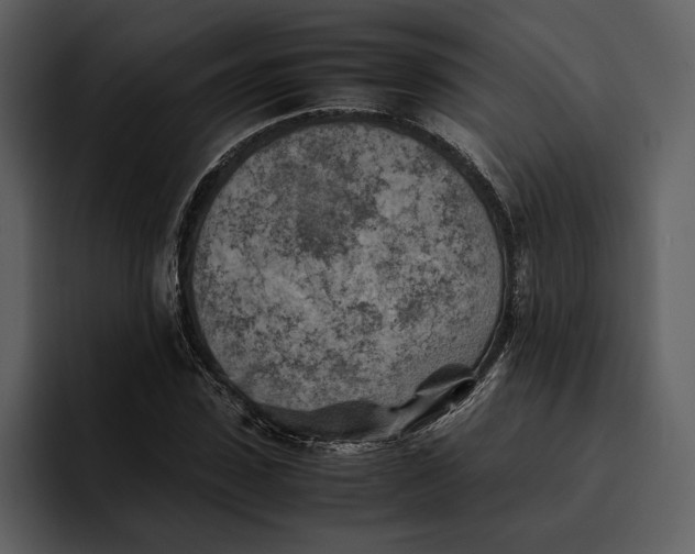 X0000095690923200801291214