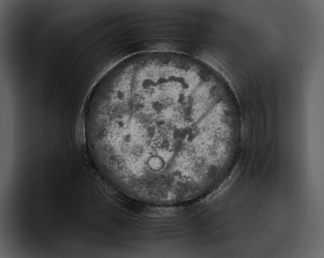 X0000095690925200801291214