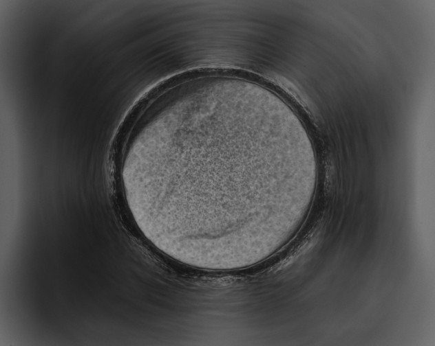 X0000095690926200801291214