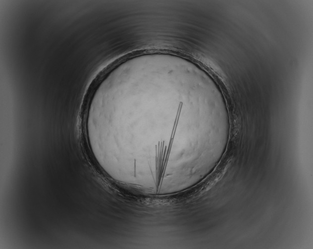 X0000095690928200801291214