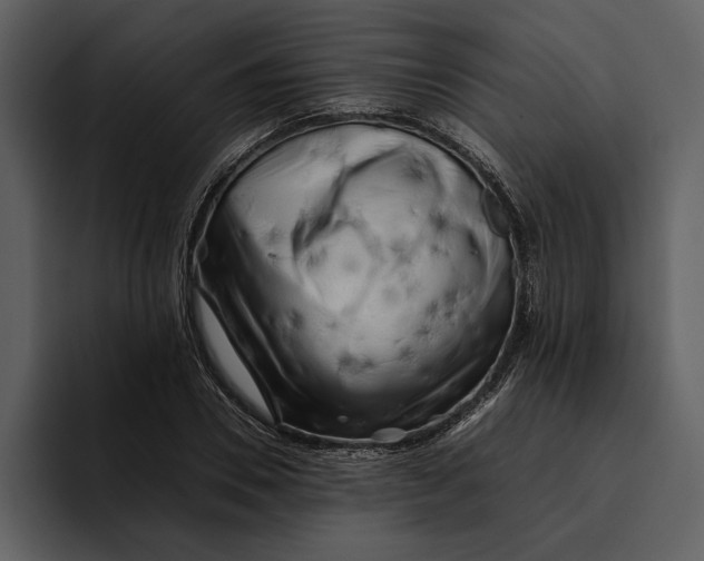 X0000095690930200801291214