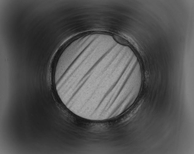 X0000095690931200801291214