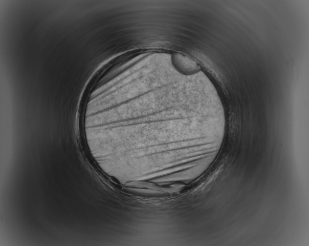 X0000095690932200801291214