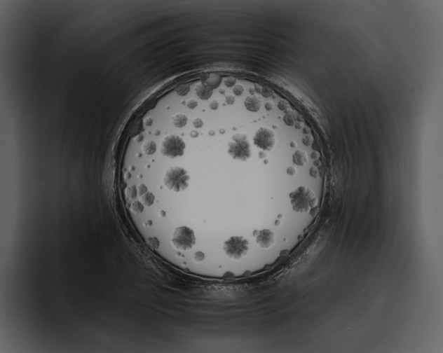 X0000095690933200801291214