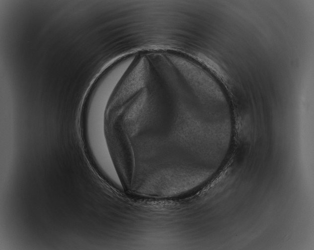 X0000095690934200801291214