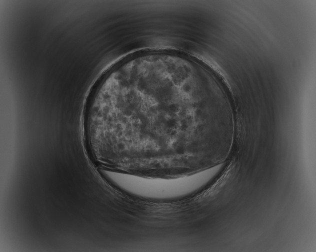 X0000095690935200801291214