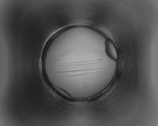 X0000095690936200801291214