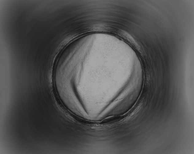 X0000095690938200801291214