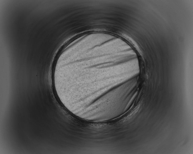 X0000095690939200801291214