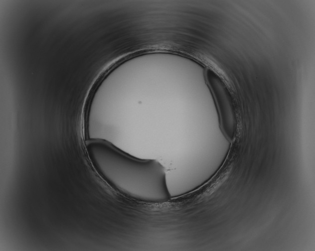 X0000095690940200801291214