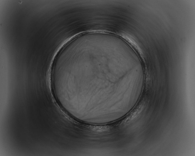 X0000095690941200801291214