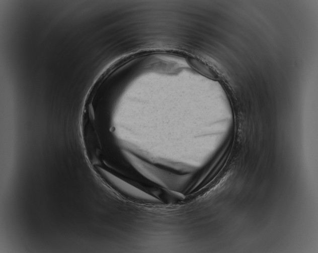 X0000095690942200801291214