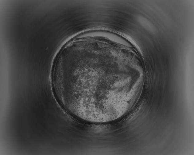 X0000095690943200801291214