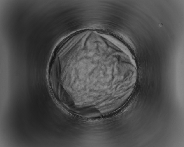 X0000095690944200801291214