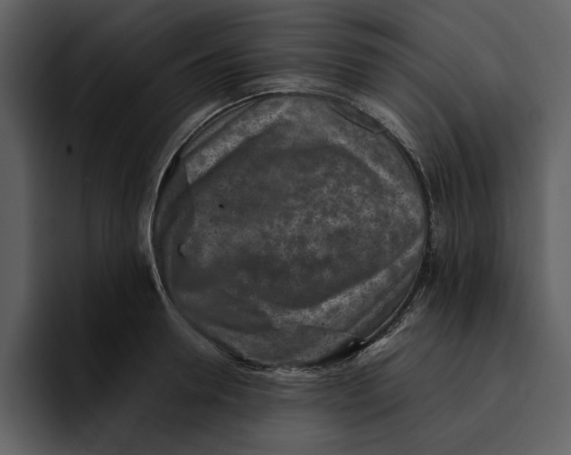 X0000095690946200801291214