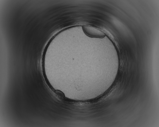 X0000095690947200801291214