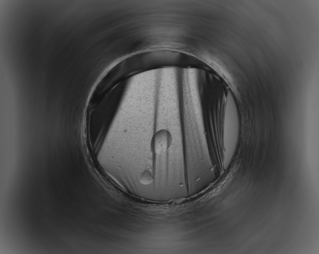 X0000095690948200801291214