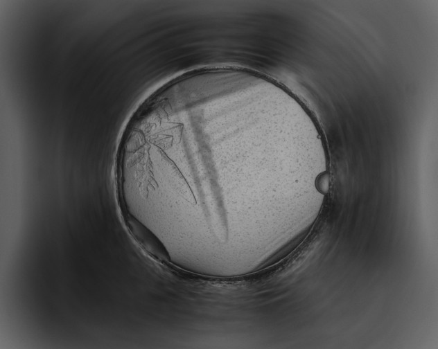 X0000095690951200801291214