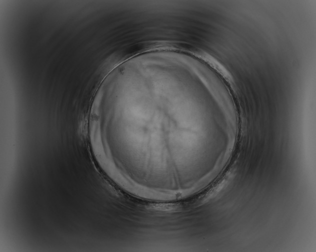 X0000095690953200801291214