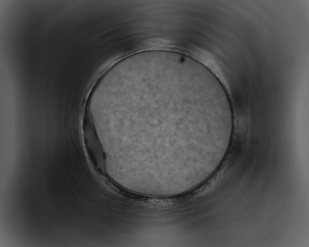 X0000095690954200801291214