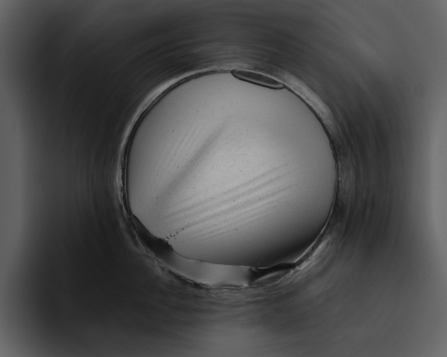 X0000095690956200801291214