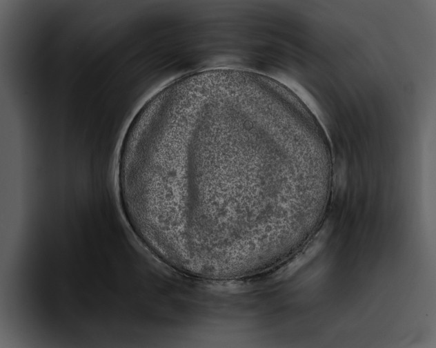 X0000095690957200801291214