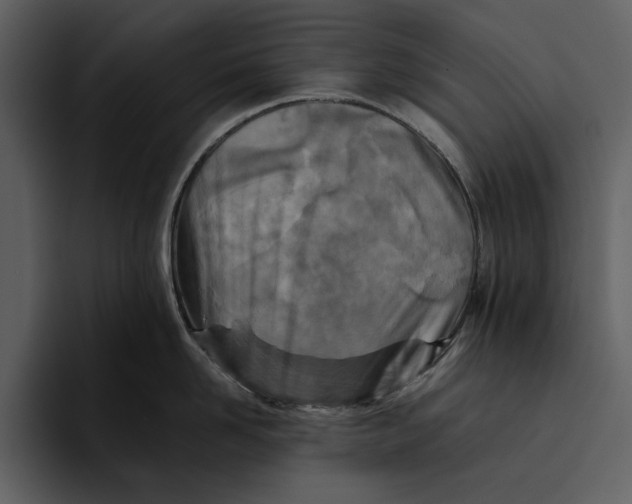 X0000095690958200801291214