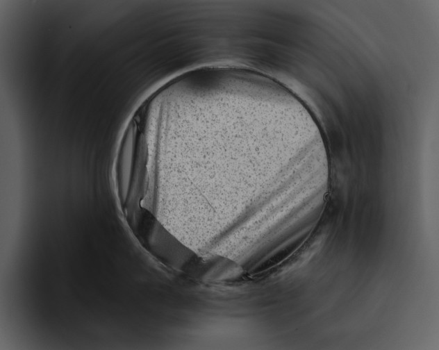 X0000095690959200801291214