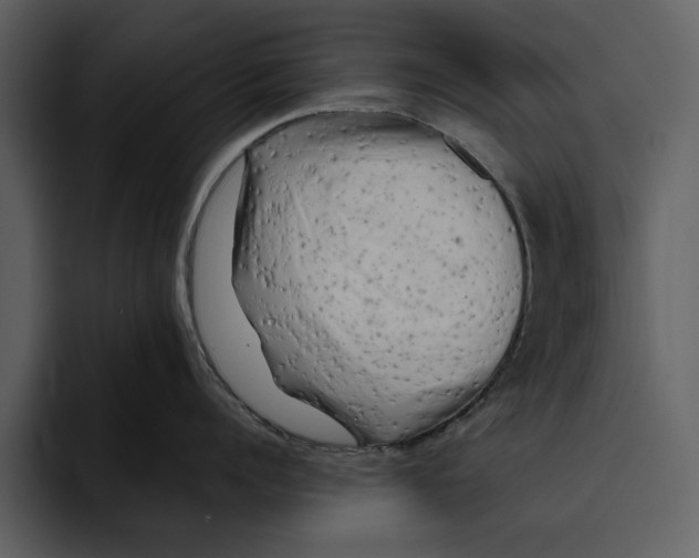 X0000095690960200801291214