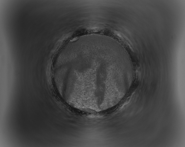 X0000095690961200801291214