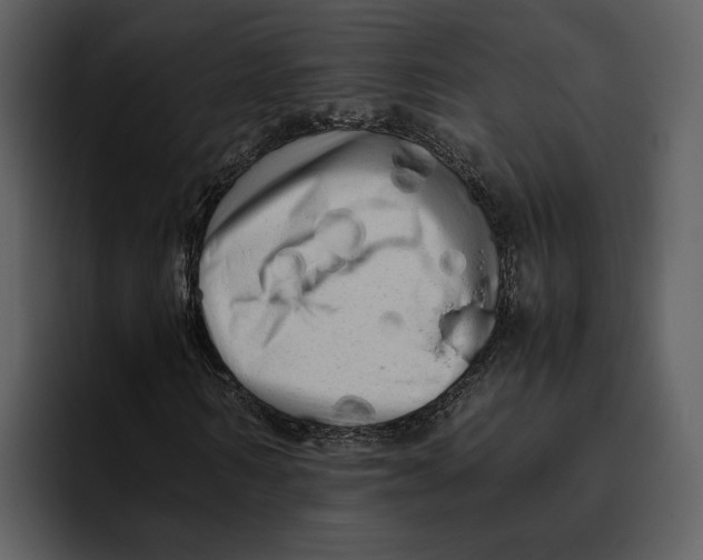 X0000095690962200801291214