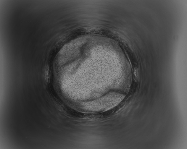 X0000095690963200801291214