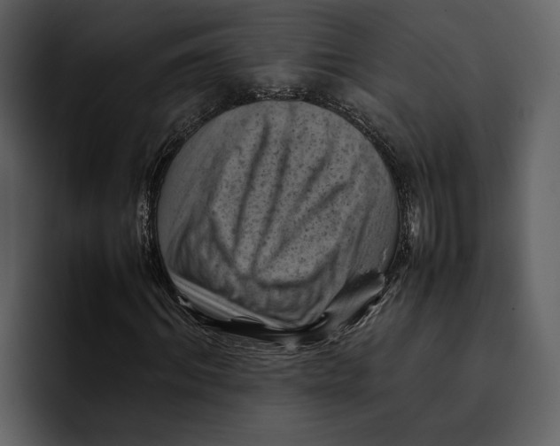 X0000095690964200801291214